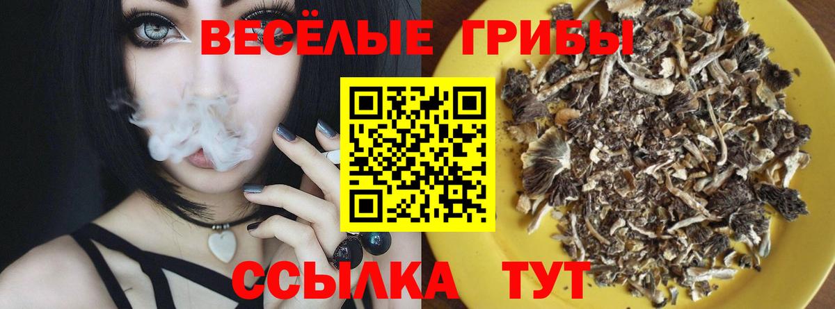 Галлюциногенные грибы прущие грибы  Псилоцибиновые грибы ЛСД  Вход с VPN  купить наркотик  Луховицы 
