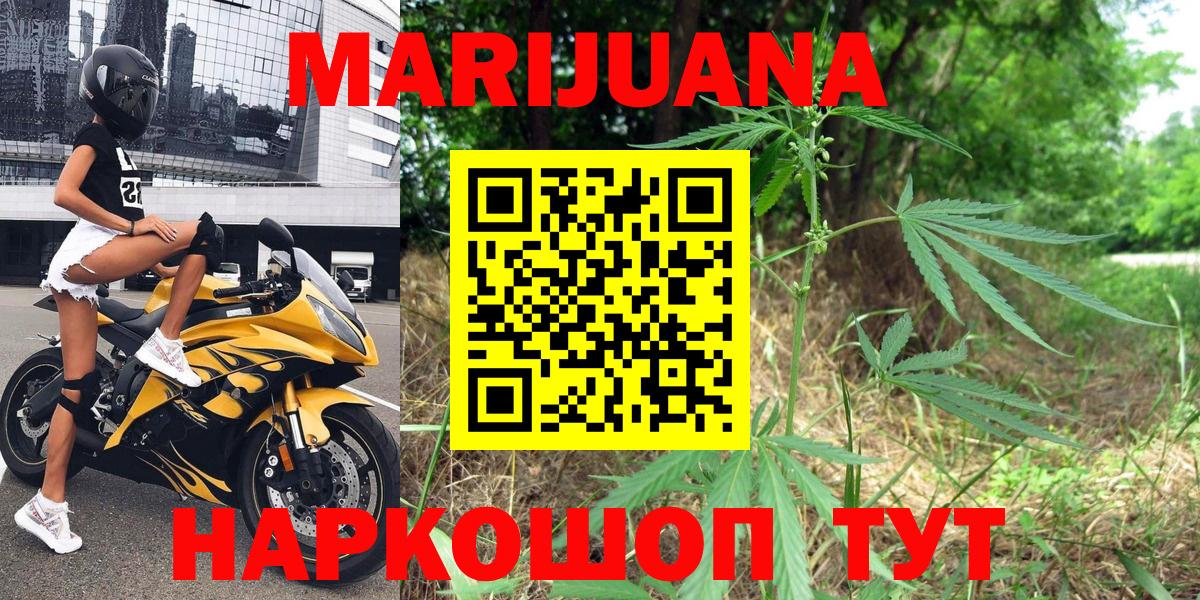 Канабис сатива Луховицы